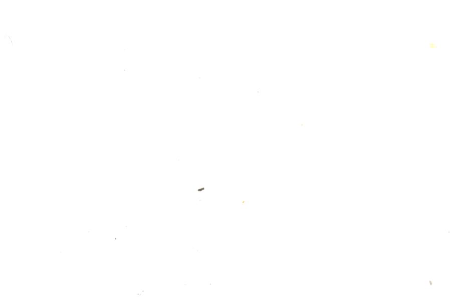 Image 91